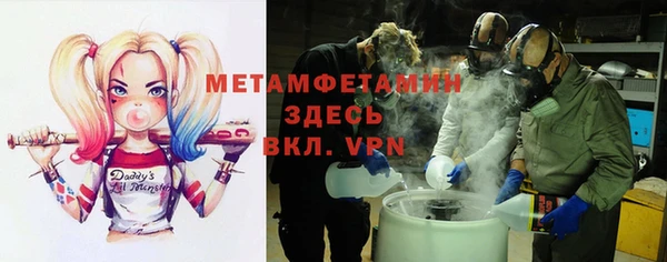 крисы Бородино