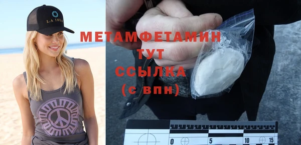 крисы Бородино