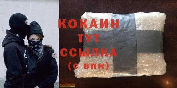 крисы Бородино