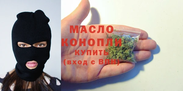 крисы Бородино