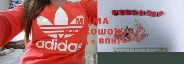 крисы Бородино