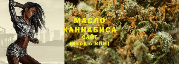 крисы Бородино