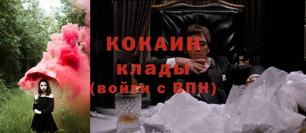 крисы Бородино