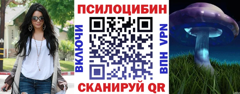 хочу наркоту  Горнозаводск  Галлюциногенные грибы Magic Shrooms 